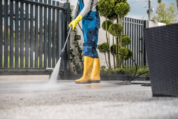 Best Sidewalk and Walkway Cleaning  in Lorenz Park, NY