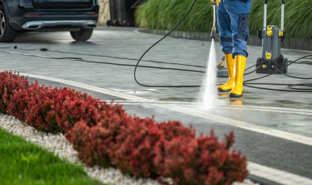 Lorenz Park, NY Pressure Washing Services Company